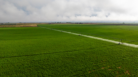 Colorado Alfalfa Farm and Waterfowl Duck Hunting Property - image 15