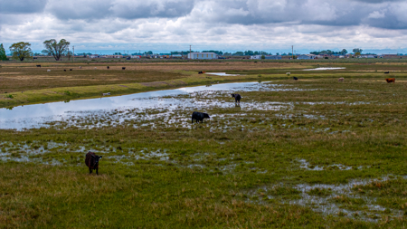 Colorado Alfalfa Farm and Waterfowl Duck Hunting Property - image 23