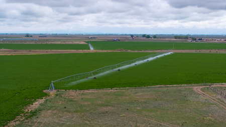 Colorado Alfalfa Farm and Waterfowl Duck Hunting Property - image 26