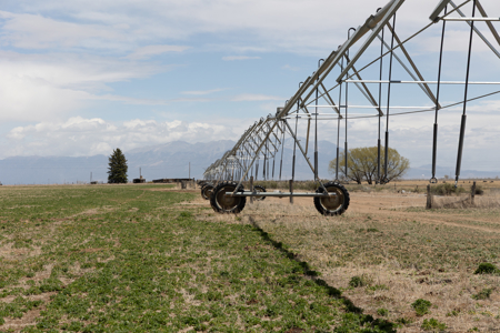 Colorado Alfalfa Farm and Waterfowl Duck Hunting Property - image 11