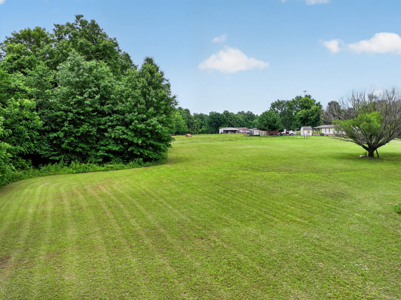 No Caption