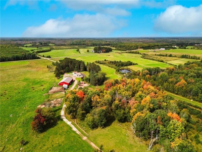 Country Home and Hobby Farm for Sale in Northern MN on 80 Acres - image 43