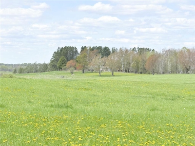 Country Home and Hobby Farm for Sale in Northern MN on 80 Acres - image 48