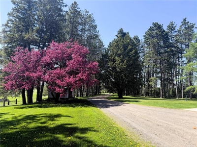 Country Home and Hobby Farm for Sale in Northern MN on 80 Acres - image 39