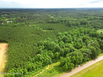 Land for Sale in Brookhaven, MS - image 6
