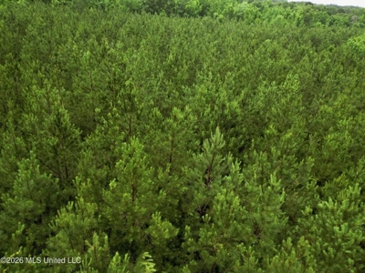 Land for Sale in Brookhaven, MS - image 10