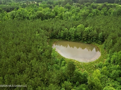 Land for Sale in Brookhaven, MS - image 8