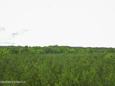 Land for Sale in Brookhaven, MS - image 9