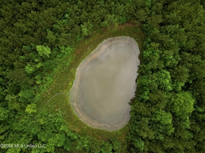 Land for Sale in Brookhaven, MS - image 4