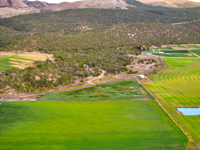 Colorado Horse Property with Multiple Homes & Irrigated Land - image 49