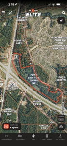 31.4 Acres For Sale on Hwy 84 & Hwy 33 Franklin County Roxie MS - image 26