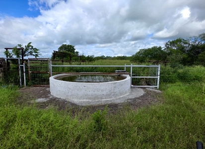 53.12 Acres | Coastal Hay Production, Hunting & Recreation - image 4