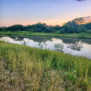 53.12 Acres | Coastal Hay Production, Hunting & Recreation - image 2