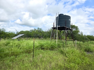 53.12 Acres | Coastal Hay Production, Hunting & Recreation - image 3