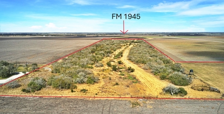 53.12 Acres | Coastal Hay Production, Hunting & Recreation - image 5