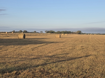 53.12 Acres | Coastal Hay Production, Hunting & Recreation - image 7
