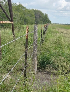 53.12 Acres | Coastal Hay Production, Hunting & Recreation - image 1