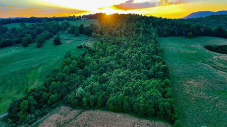 20-Acre Wooded Haven Minutes From Historic Lexington VA - image 15