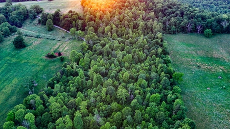 20-Acre Wooded Haven Minutes From Historic Lexington VA - image 16