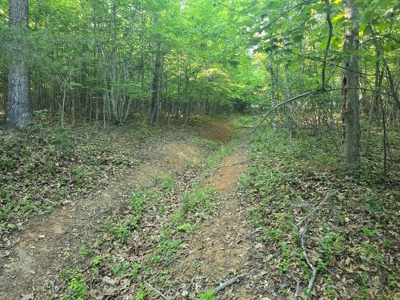 20-Acre Wooded Haven Minutes From Historic Lexington VA - image 3
