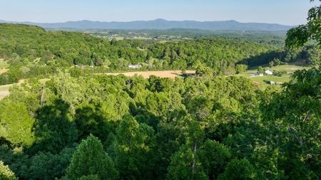 20-Acre Wooded Haven Minutes From Historic Lexington VA - image 8