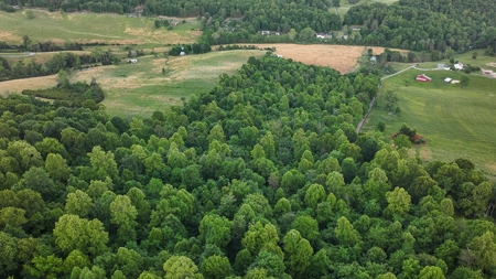 20-Acre Wooded Haven Minutes From Historic Lexington VA - image 17