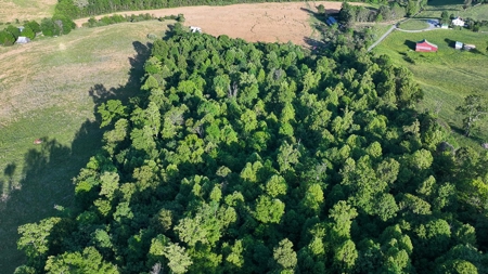 20-Acre Wooded Haven Minutes From Historic Lexington VA - image 7