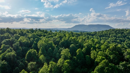 20-Acre Wooded Haven Minutes From Historic Lexington VA - image 10