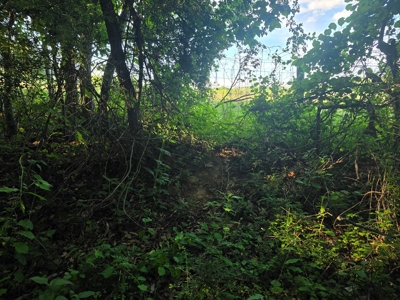 20-Acre Wooded Haven Minutes From Historic Lexington VA - image 6