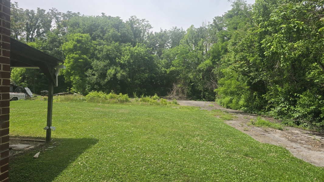 No Caption