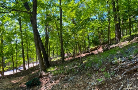 Lakeview Home in Resort Community with Four Season Amenities - image 29