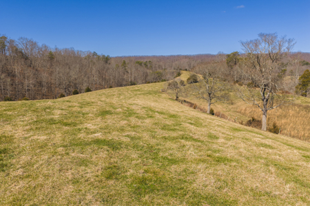 East Tennessee Farm-Equine-Unrestricted Land Hancock County TN - image 15