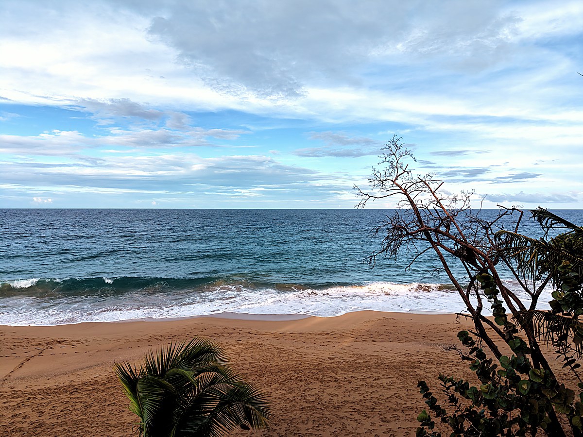 Front-Row Titled Land, ~1,450 m² — Bluff Beach, Isla Colón - 5