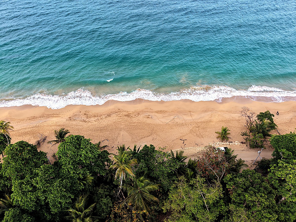 Front-Row Titled Land, ~1,450 m² — Bluff Beach, Isla Colón - 6
