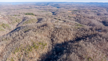 Hunting Land in Albany, Kentucky - image 3