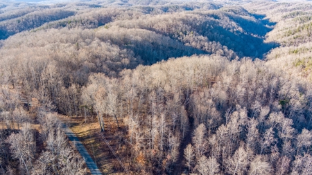 Hunting Land in Clinton County, Kentucky - image 4