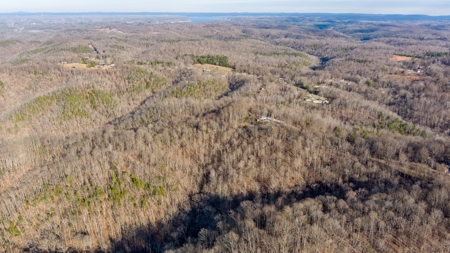 Hunting Land in Clinton County, Kentucky - image 1