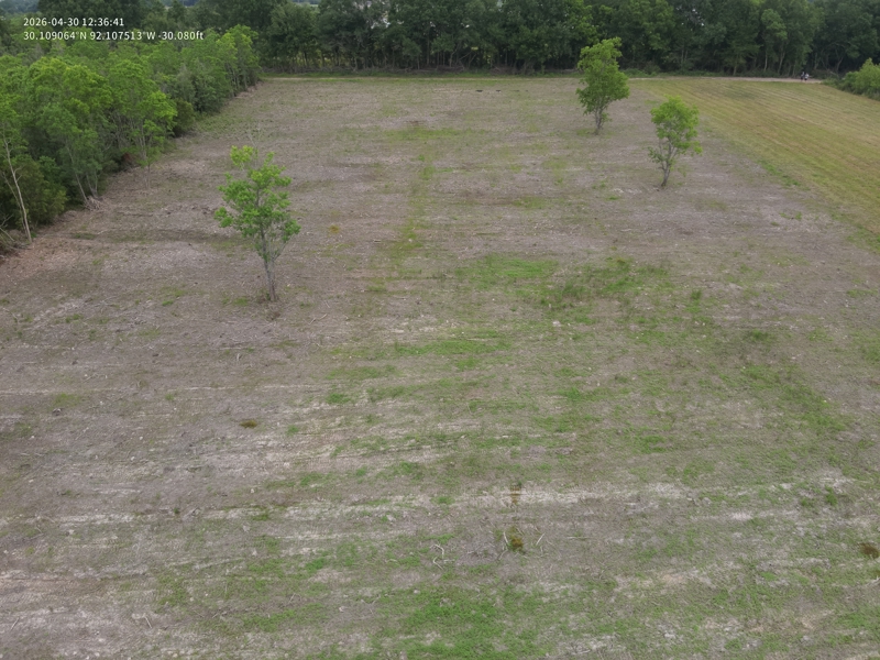 No Caption