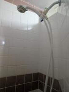 Furnished Cabin on Canada Creek Ranch, Atlanta MI - image 5