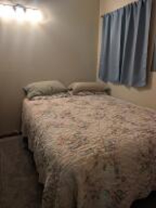 Furnished Cabin on Canada Creek Ranch, Atlanta MI - image 13