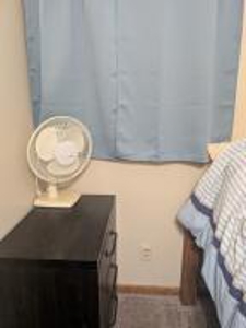 Furnished Cabin on Canada Creek Ranch, Atlanta MI - image 23