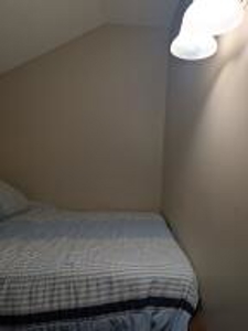 Furnished Cabin on Canada Creek Ranch, Atlanta MI - image 22