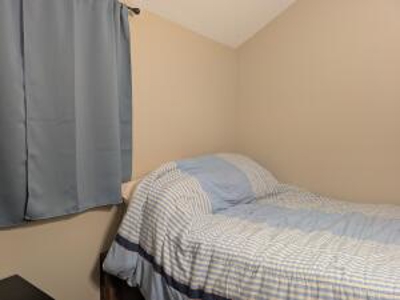Furnished Cabin on Canada Creek Ranch, Atlanta MI - image 20
