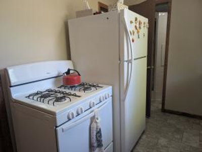 Furnished Cabin on Canada Creek Ranch, Atlanta MI - image 2