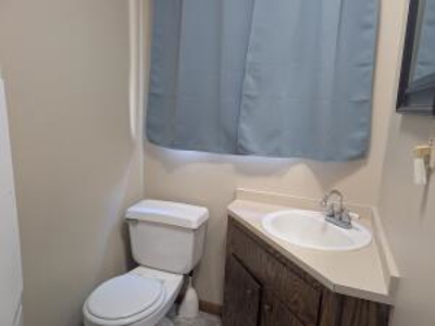 Furnished Cabin on Canada Creek Ranch, Atlanta MI - image 3