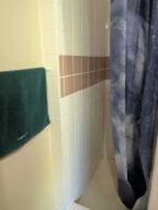 Furnished Cabin on Canada Creek Ranch, Atlanta MI - image 4