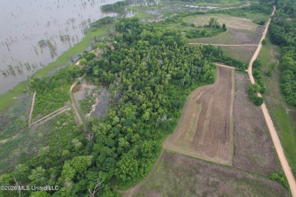 88 Acre Hunting Property - Wilkinson County, MS