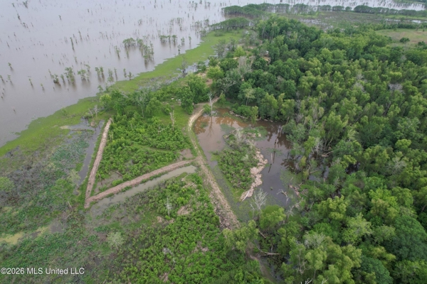 88 Acre Hunting Property - Wilkinson County, MS