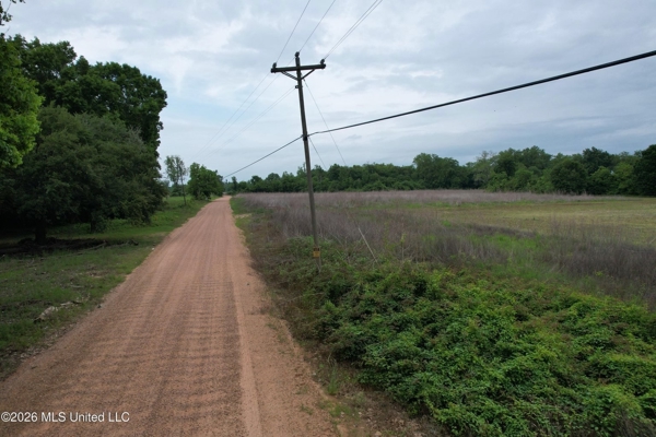 88 Acre Hunting Property - Wilkinson County, MS