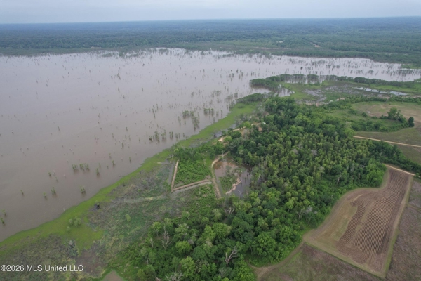 88 Acre Hunting Property - Wilkinson County, MS